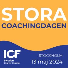 Feedback Stora Coachingdagen